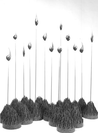 pluimpjes